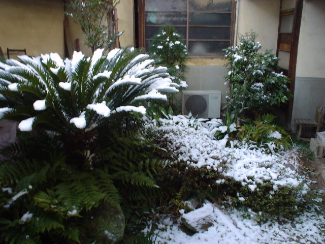 実家の中庭の雪景色